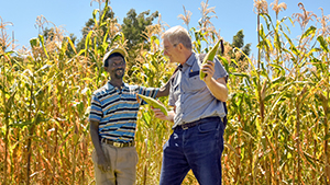 Rick Steves with corn