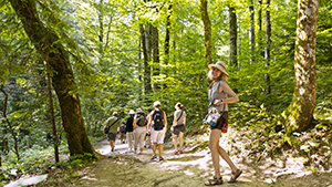 Plitvice Lakes National Park in Croatia